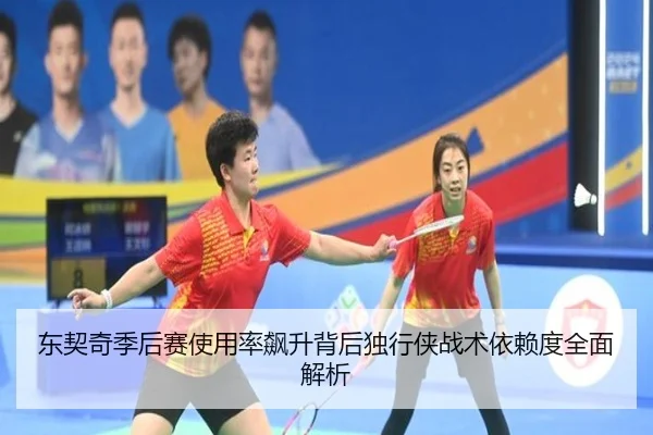 东契奇季后赛使用率飙升背后独行侠战术依赖度全面解析